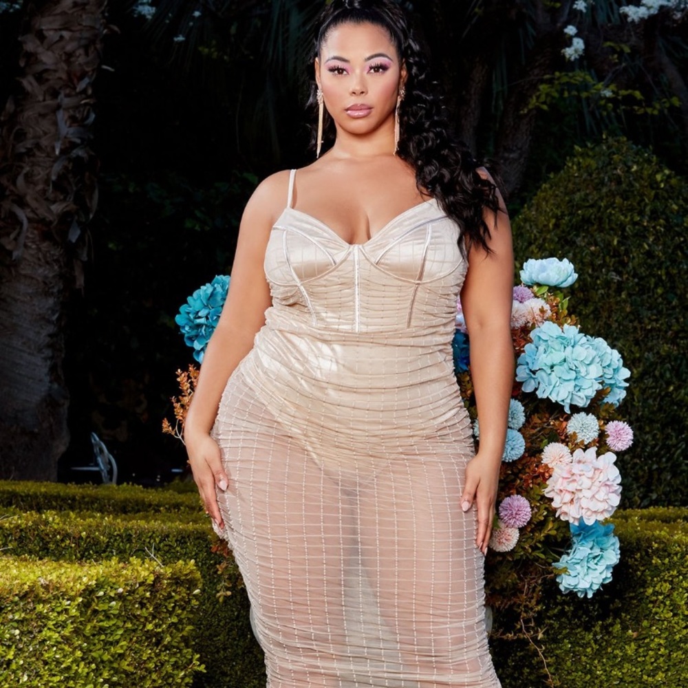 Not An Easy Target Dress (Fashionnova)